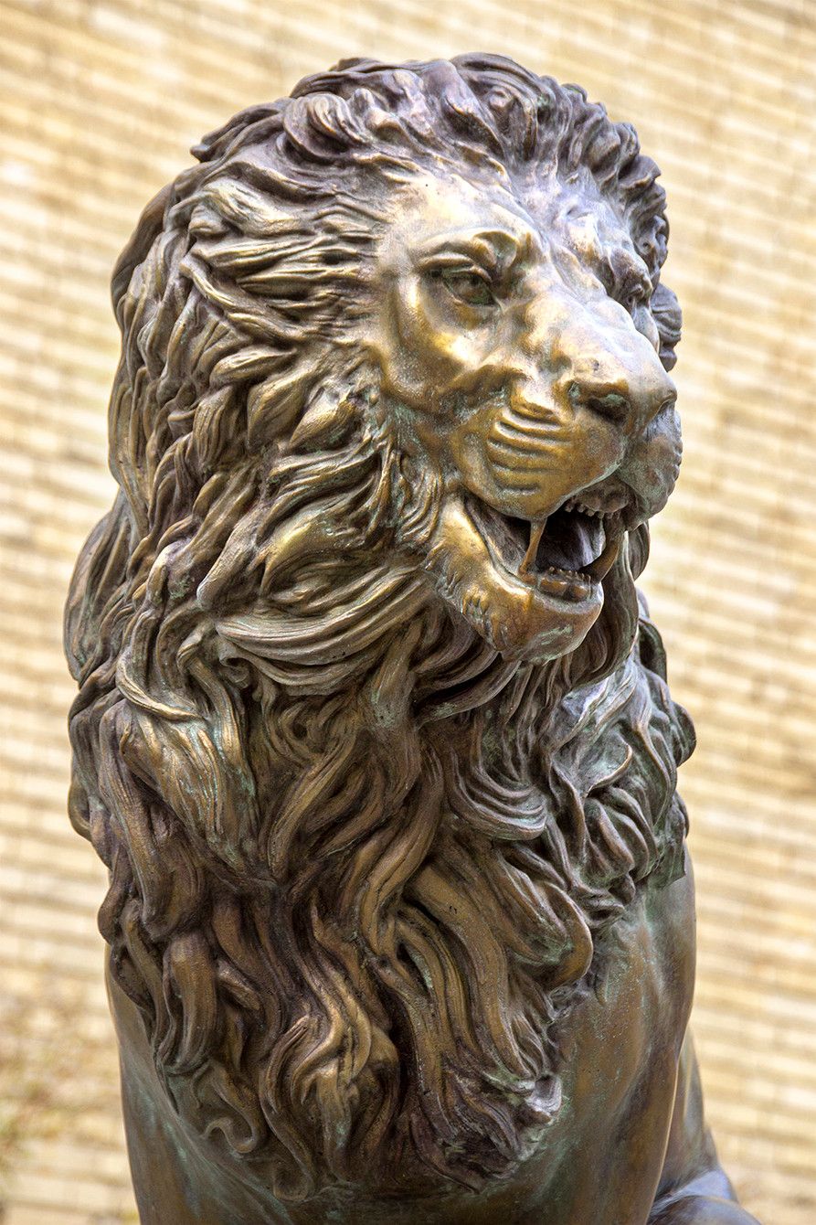 Bronze lion